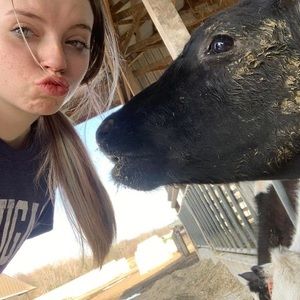 Meet your Posher, Allie